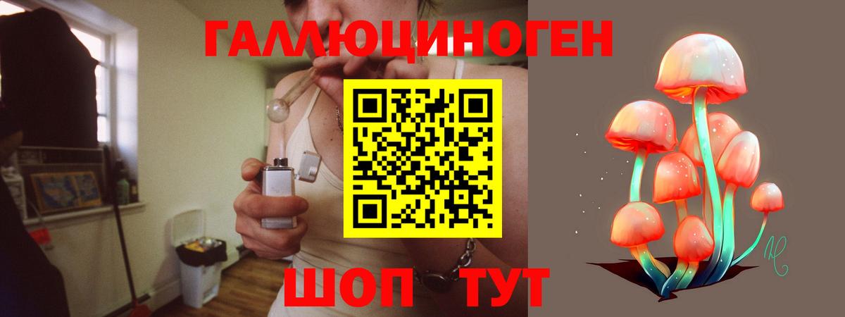 Назрань  Псилоцибиновые грибы Magic Shrooms  Вход с VPN  Псилоцибиновые грибы GOLDEN TEACHER 